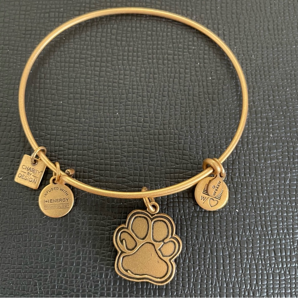Women’s Vintage ALEX AND ANI Animal Rescue Pawprint Bracelet 🐾